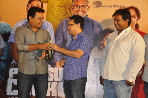 Pressure Cooker  (11)