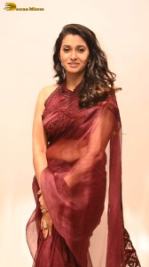 actress priya bhavani shankar in a brick red saree