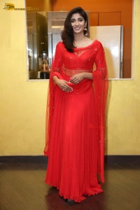 Indian Actress Priya Vadlamani hot looks in a red dress