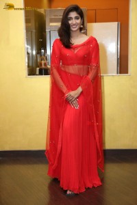 Indian Actress Priya Vadlamani hot looks in a red dress