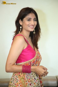 South Indian Actress Priya Vadlamani in a colorful saree