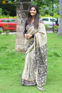 actress Priya Vadlamani gorgeous in a saree