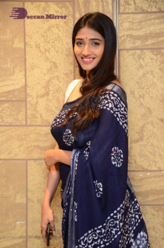 Telugu Actress Priya Vadlamani looks stunning in a blue saree