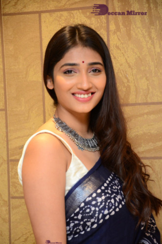 Telugu Actress Priya Vadlamani looks stunning in a blue saree