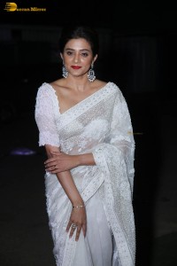 indian actress priyamani in a white saree at a movie function