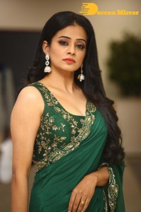 Actress Priyamani in a Green Saree