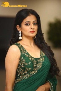 Actress Priyamani in a Green Saree