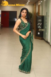 Actress Priyamani in a Green Saree