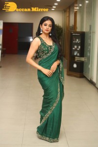 Actress Priyamani in a Green Saree