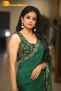 Actress Priyamani in a Green Saree