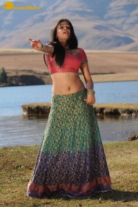Actress Priyamani during the filming of a song