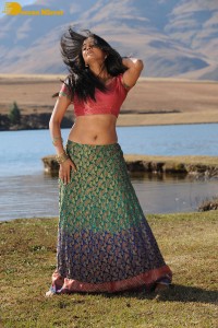Actress Priyamani during the filming of a song