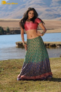 Actress Priyamani during the filming of a song