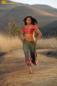 Actress Priyamani during the filming of a song
