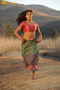 Actress Priyamani during the filming of a song