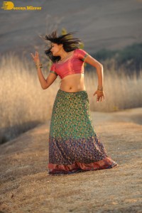 Actress Priyamani during the filming of a song