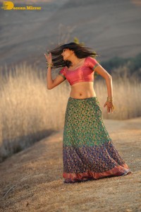 Actress Priyamani during the filming of a song