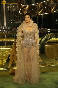 actress priyanka chopra in a transparent dress at a function