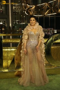 actress priyanka chopra in a transparent dress at a function