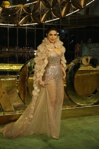 actress priyanka chopra in a transparent dress at a function