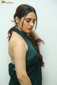 indian actress priyanka rewri hot photoshoot in a green saree