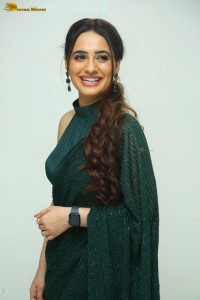 indian actress priyanka rewri hot photoshoot in a green saree