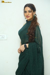 indian actress priyanka rewri hot photoshoot in a green saree