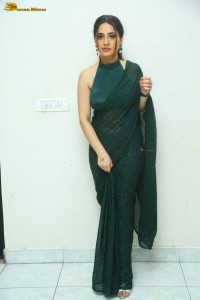 indian actress priyanka rewri hot photoshoot in a green saree