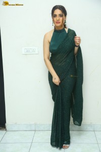 indian actress priyanka rewri hot photoshoot in a green saree