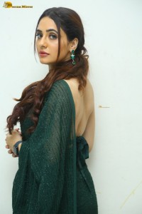 indian actress priyanka rewri hot photoshoot in a green saree