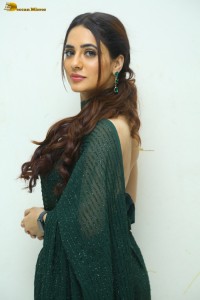 indian actress priyanka rewri hot photoshoot in a green saree