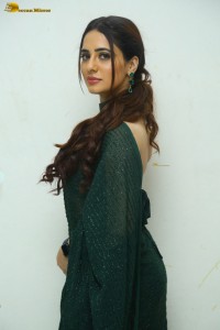 indian actress priyanka rewri hot photoshoot in a green saree