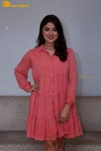Telugu heroine Priyanka Sharma in a pink dress