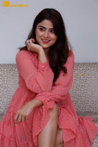 Telugu heroine Priyanka Sharma in a pink dress