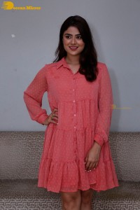 Telugu heroine Priyanka Sharma in a pink dress
