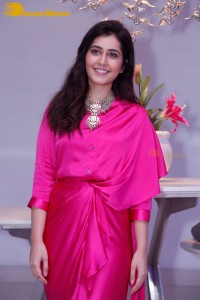 Raashi Khanna in a pink dress during a press meet