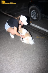 Indian TV Actress Rashami Desai was spotted with her cute furry friend at Mumbai Airport