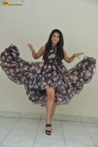 actress Rashi Singh hot photoshoot