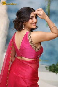 actress rashi singh sexy photoshoot in a red saree