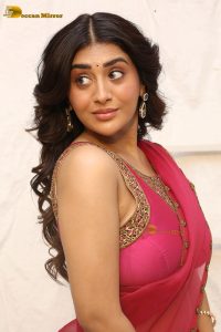 actress rashi singh sexy photoshoot in a red saree