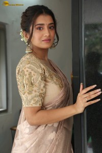 actress Rashi Singh gorgeous in a saree