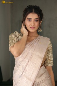 actress Rashi Singh gorgeous in a saree