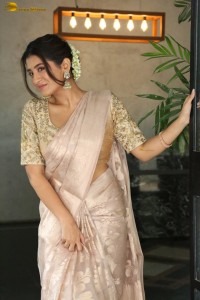 actress Rashi Singh gorgeous in a saree