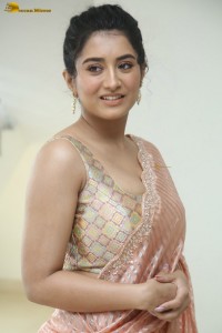 actress Rashi Singh glamorous photoshoot in a saree