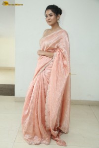 actress Rashi Singh glamorous photoshoot in a saree