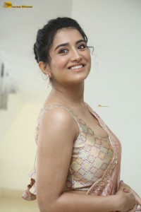 actress Rashi Singh glamorous photoshoot in a saree