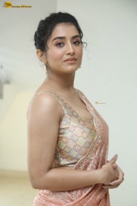 actress Rashi Singh glamorous photoshoot in a saree