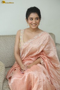 actress Rashi Singh glamorous photoshoot in a saree