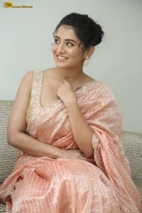 actress Rashi Singh glamorous photoshoot in a saree