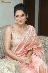 actress Rashi Singh glamorous photoshoot in a saree